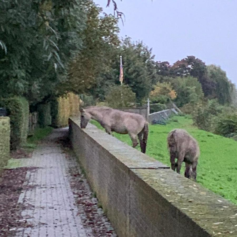 Hoeve Op De Meer Maastricht Exterior foto